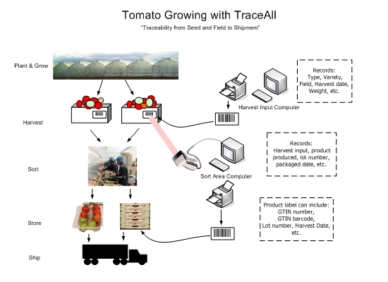 tomato grower traceability overview